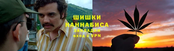 ешки Бронницы