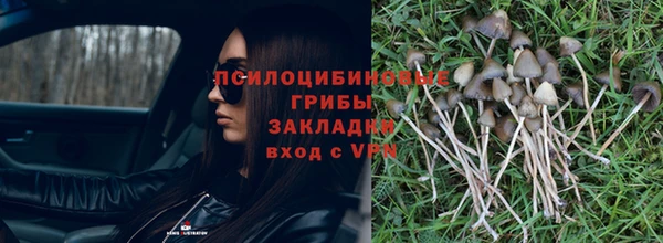 гидропоника Бородино