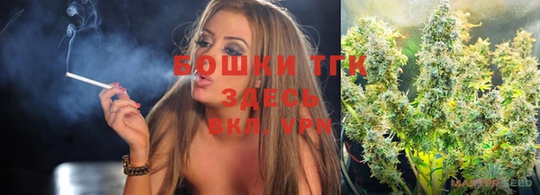 гидропоника Бородино