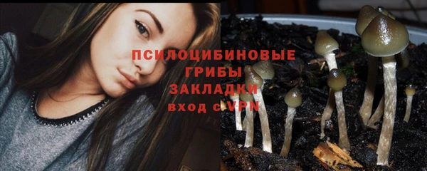 гидропоника Бородино