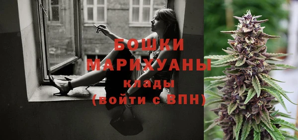 ешки Бронницы